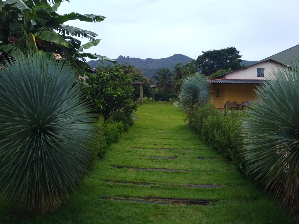 Sítio Descanso E Natureza Igarapé - 20km Inhotim photo 2