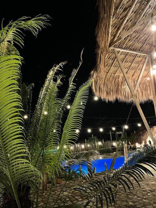 finca playa seca photo 3