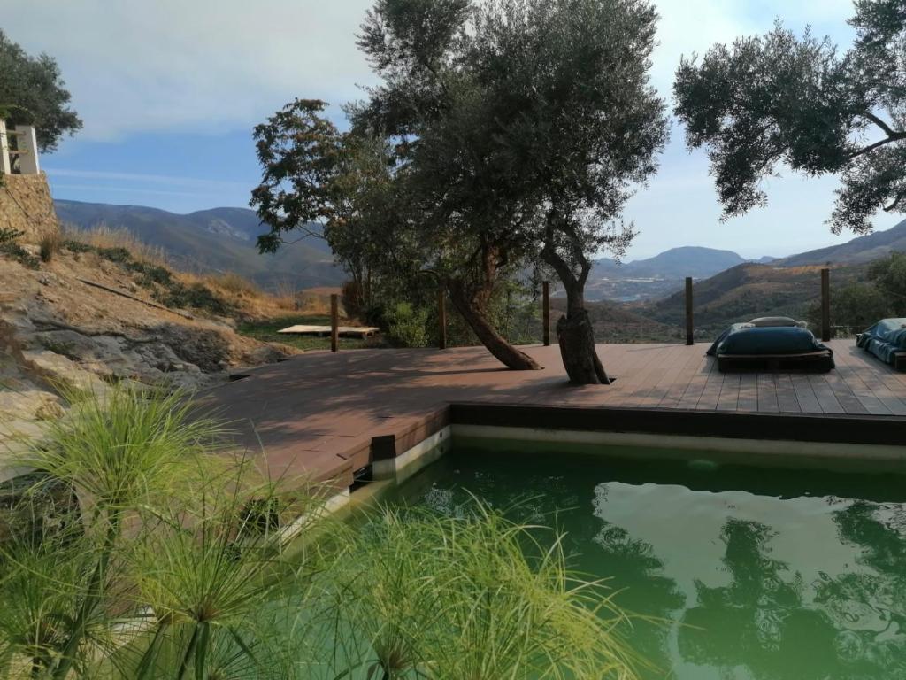 Cortijo Samadhi photo 3