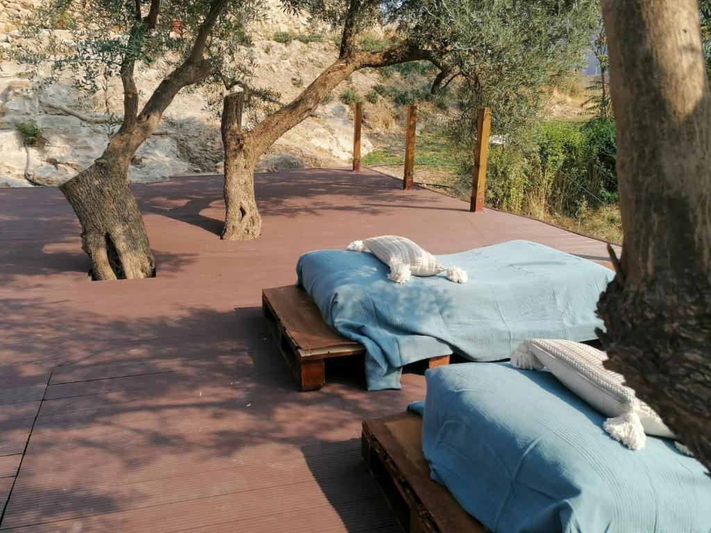 Cortijo Samadhi photo 2