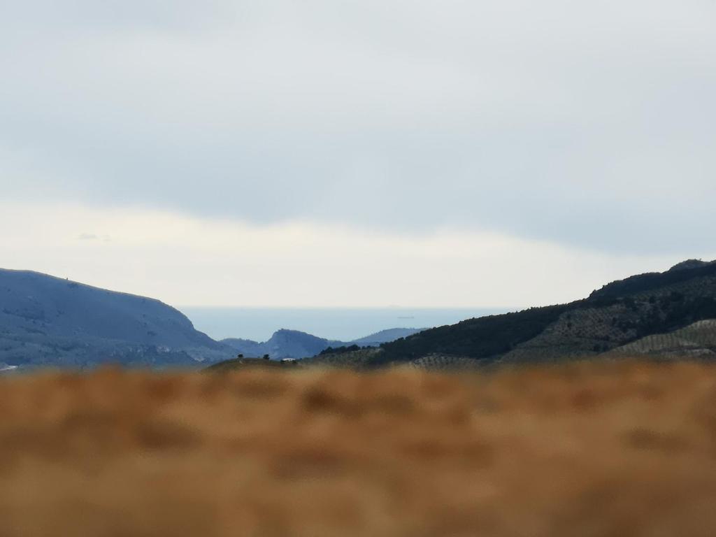 Cortijo Samadhi photo 1