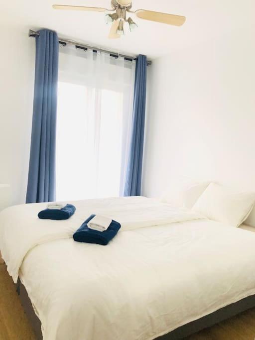 Cosy Apartement near Geneva photo 1