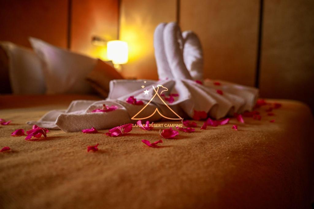 Sahara Desert Glamping photo 1