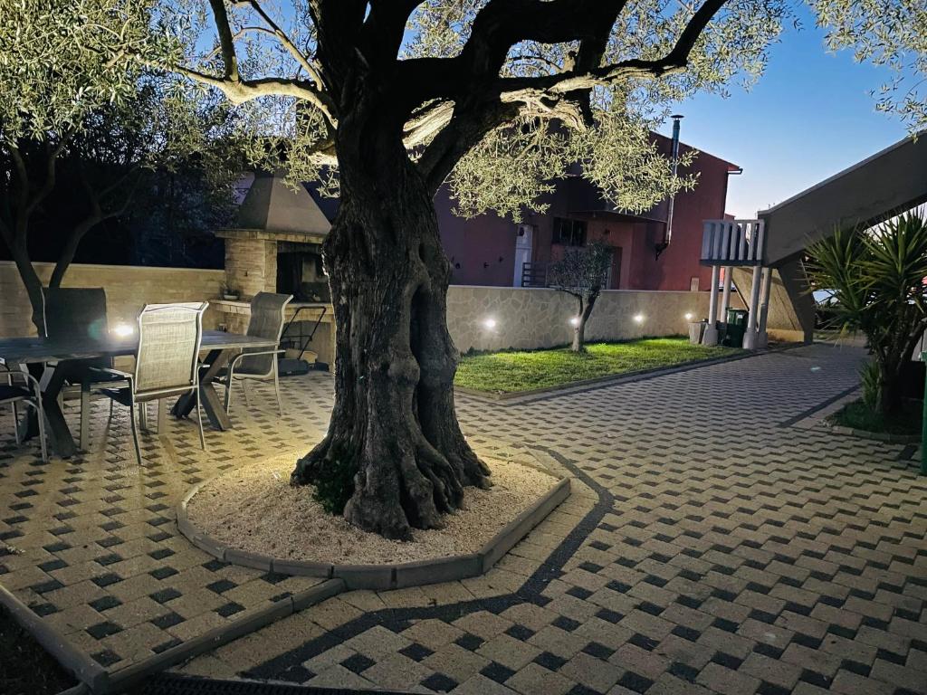 Design Apartments Dijan photo 1