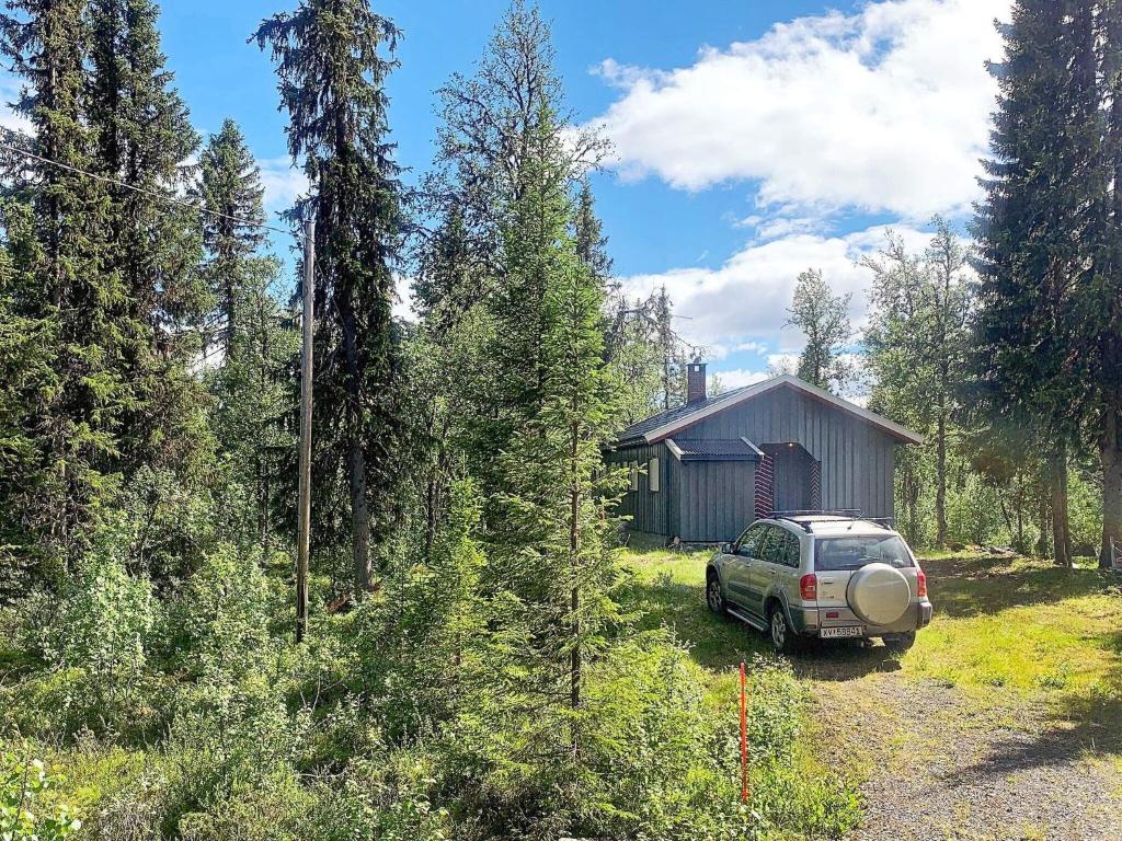 Holiday home Aurdal photo 1