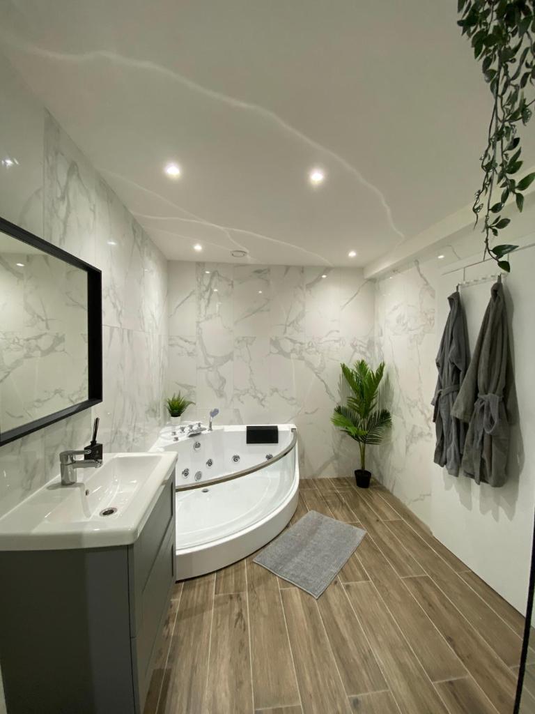 Capsule Groovy-Jacuzzi-Sauna-Billard-Netflix- Nintendo Switch & Jeux photo 4