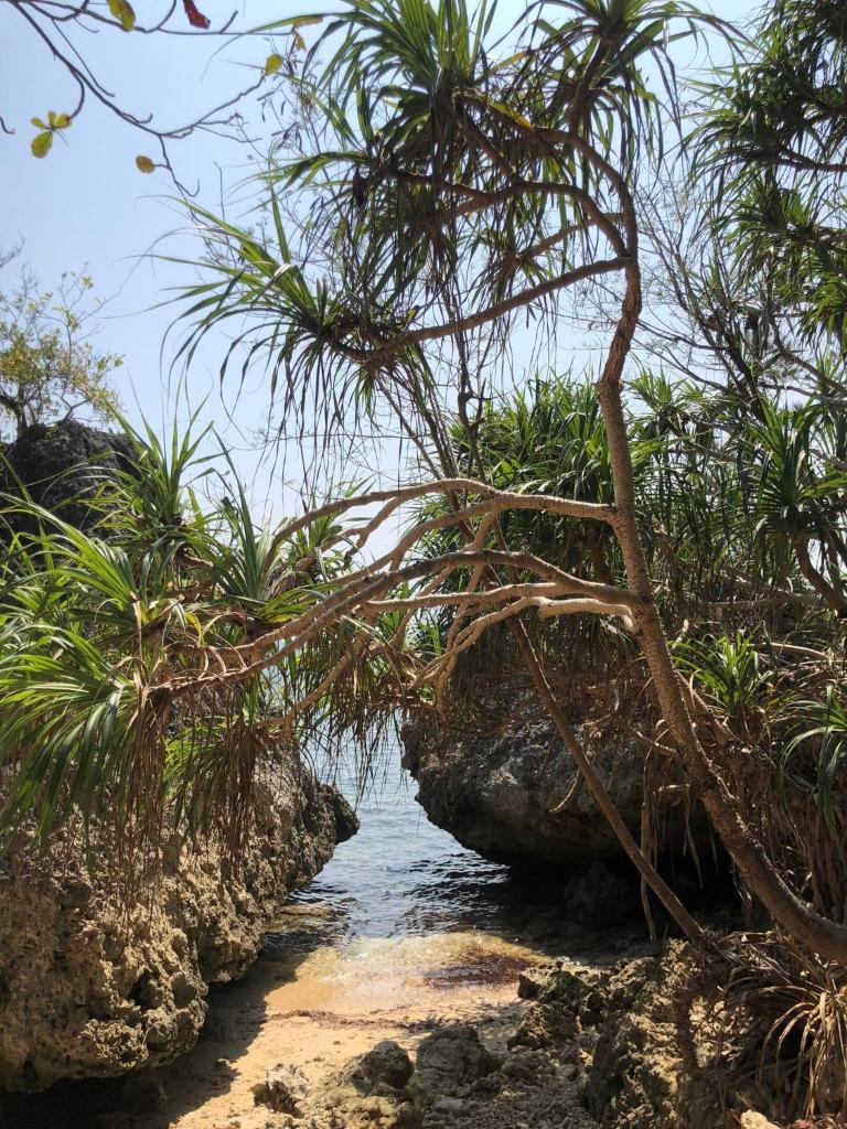 CASA BOLO IN ALAMINOS with HIDDEN WHITE BEACH near 100 Islands photo 3