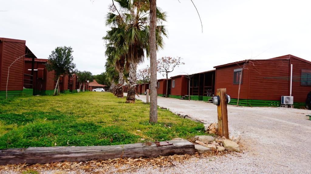 Bungalows Park Albufera photo 4