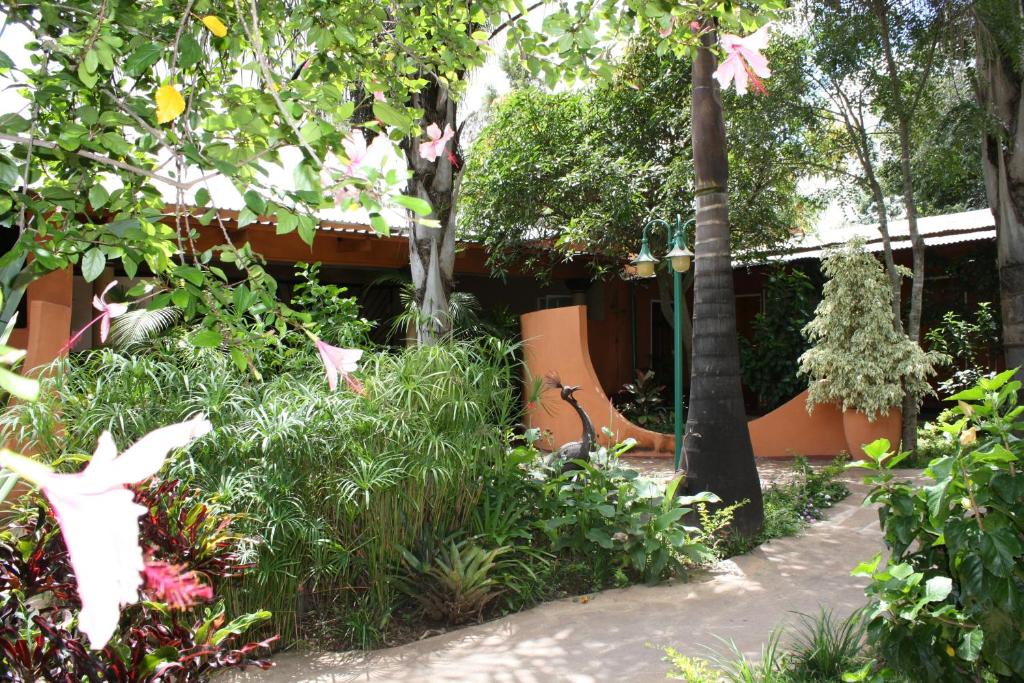 Palmwood Lodge photo 1