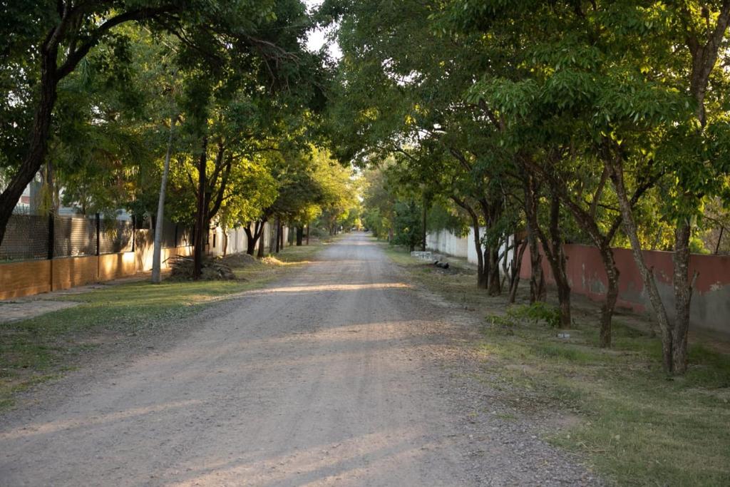 FINCA EL BRACO photo 4