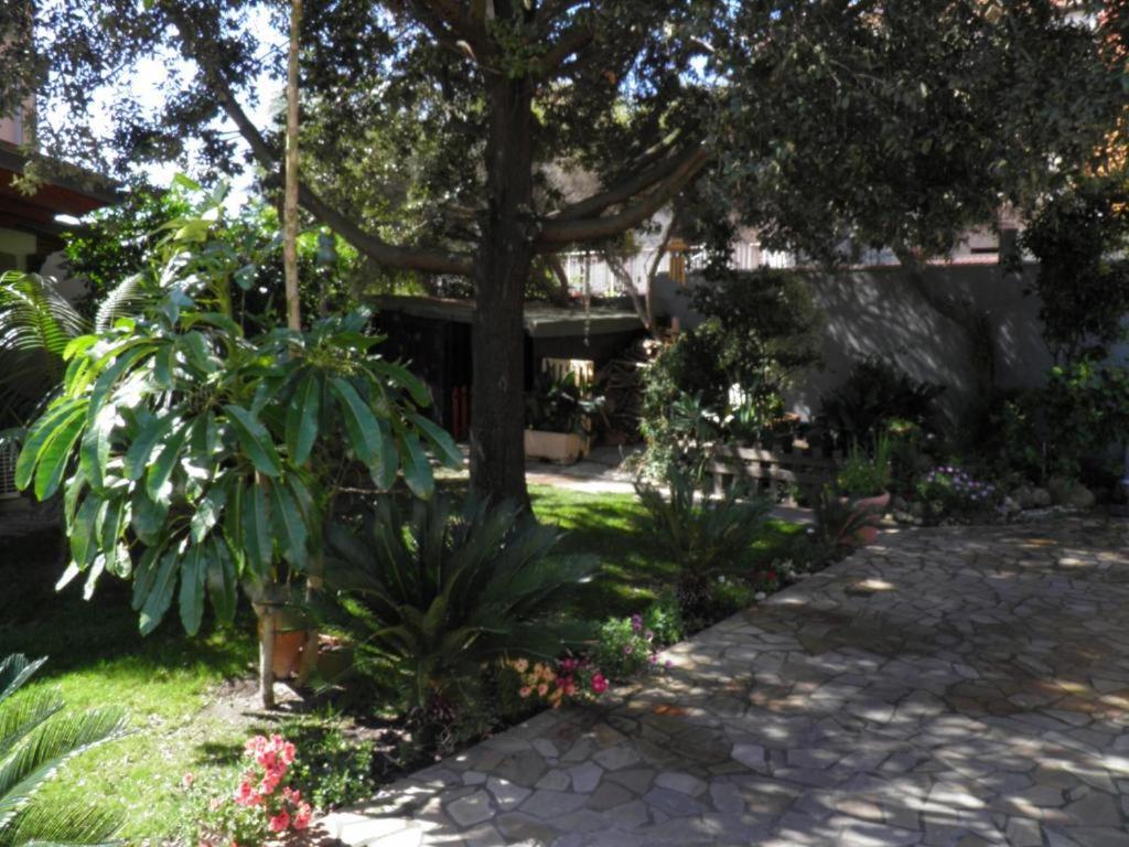 Cla House photo 3