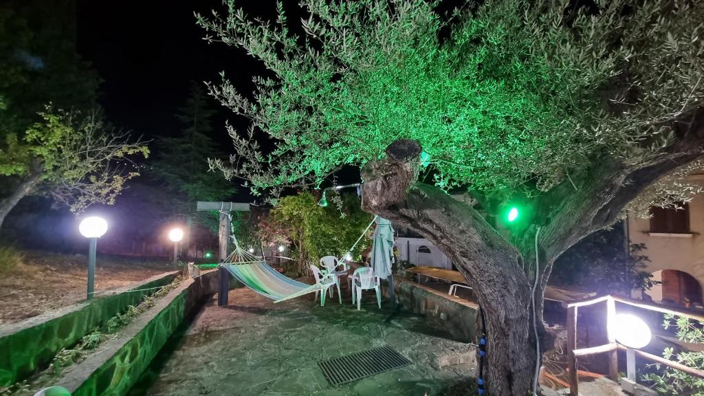 Villa Amorelli photo 3