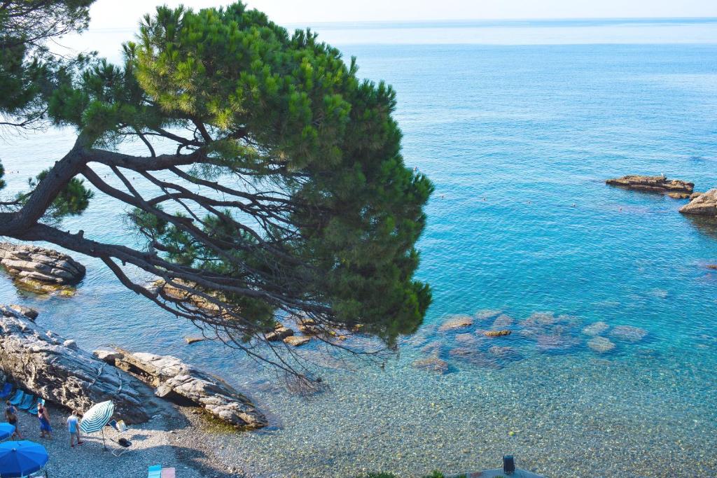 La Terrazza sul Mare photo 3