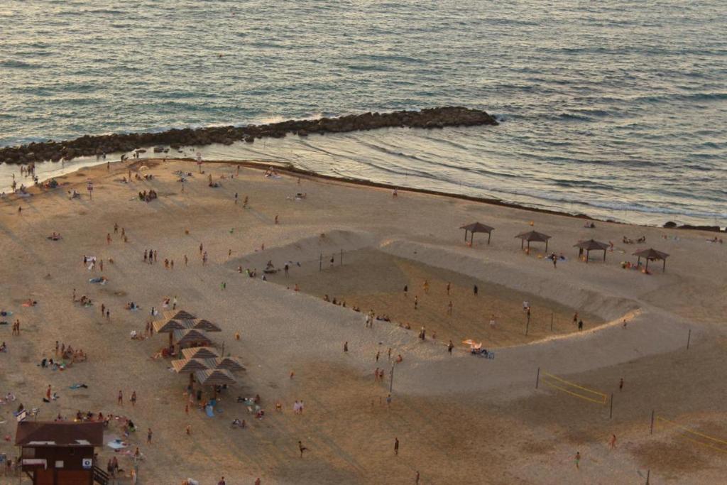 ALMOG BUILDING APT's photo 4