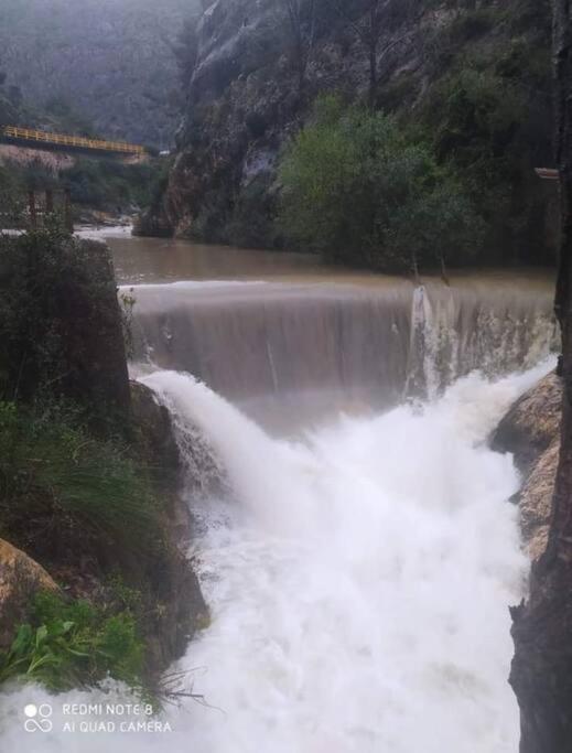 Samaruc photo 3