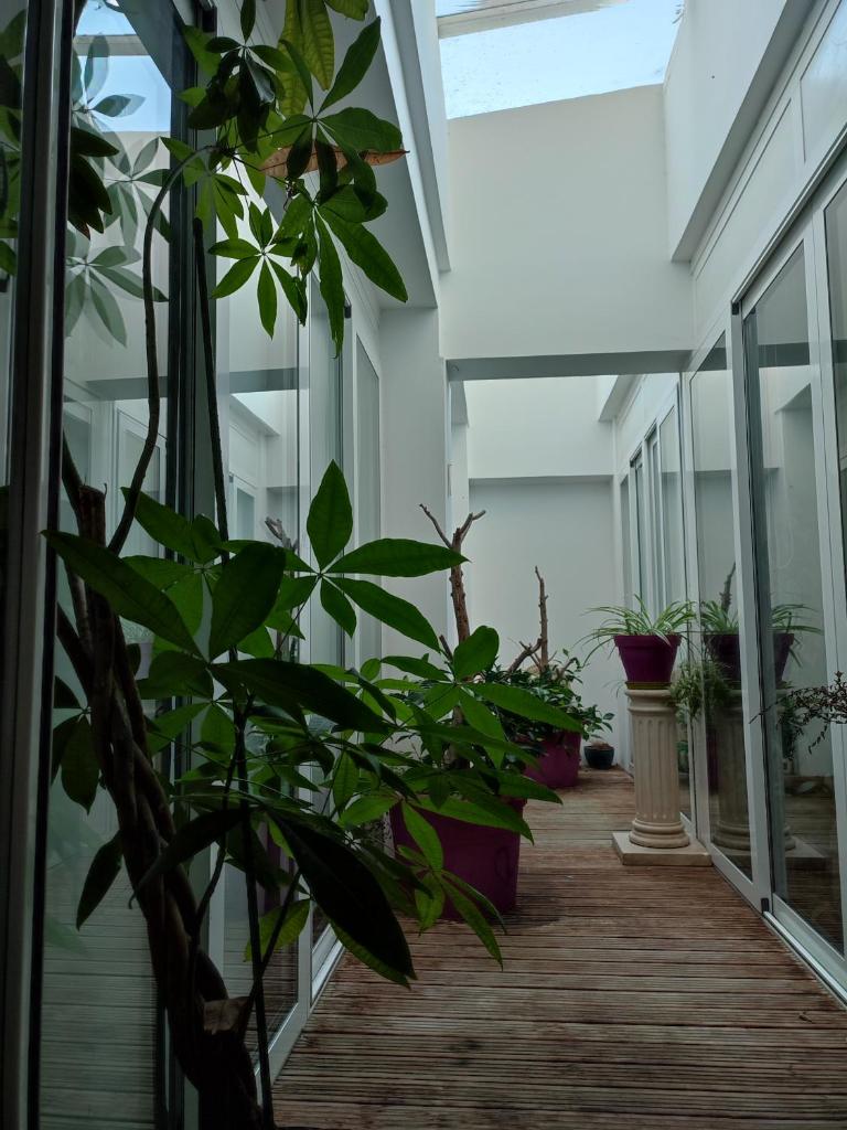 Le loft photo 4
