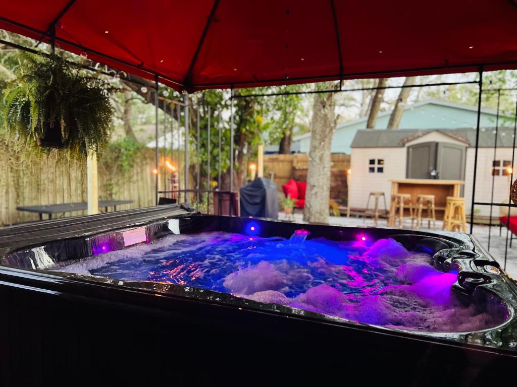 Tropical Casita in Tampa near airport and Raymond James stadium image