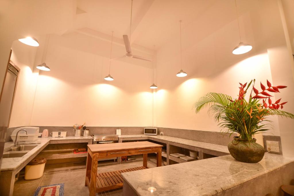 Skylight House photo 4