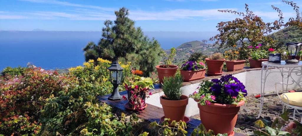 Casa Roberta photo 4