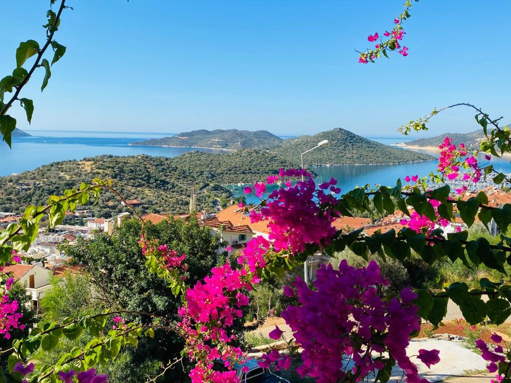 Kaş homes 3 photo 1