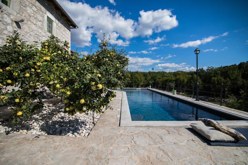 Villa Ana photo 3