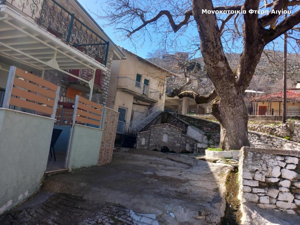 Σπιτάκι στην Φτέρη photo 2