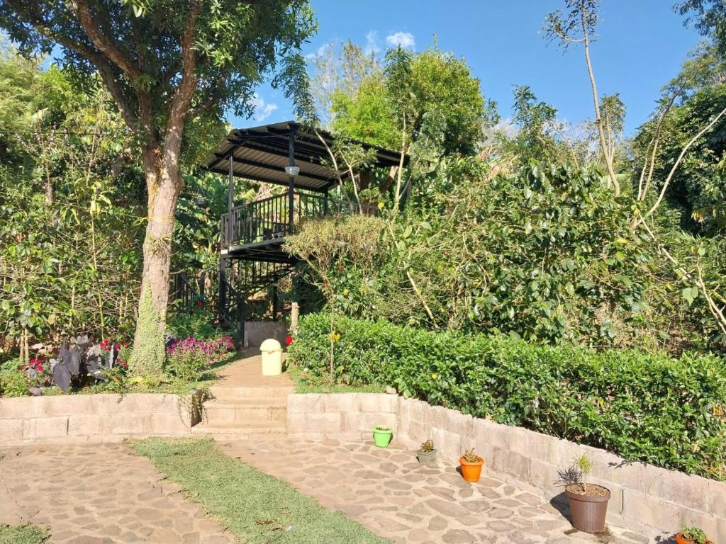 Casa de Alicia photo 4