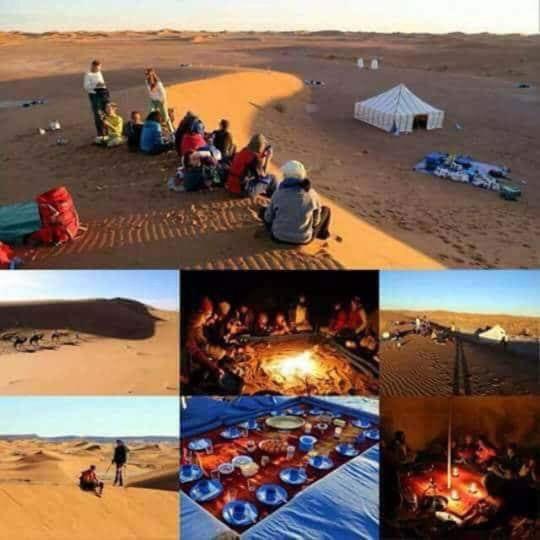 Camp birds traquets of SaharaProject house mars six doors