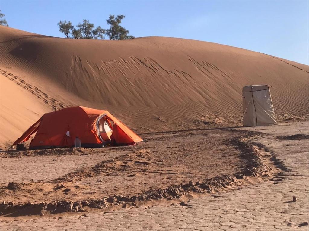 Camp birds traquets of SaharaProject house mars six doors photo 1