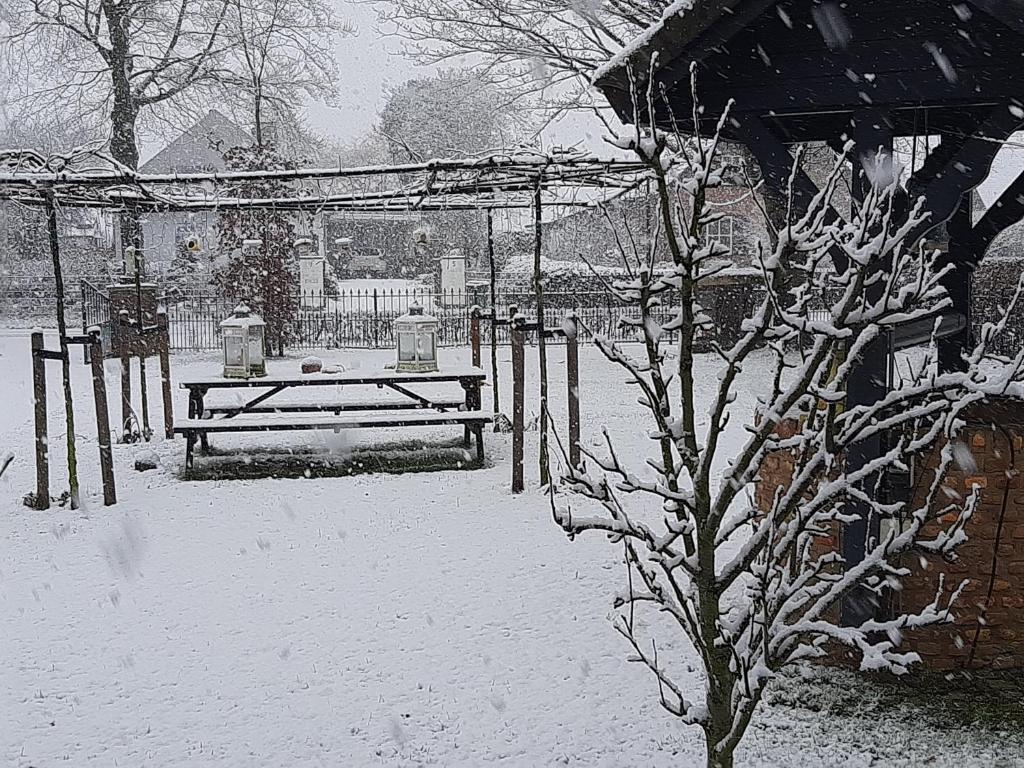b&b de Wensput photo 3