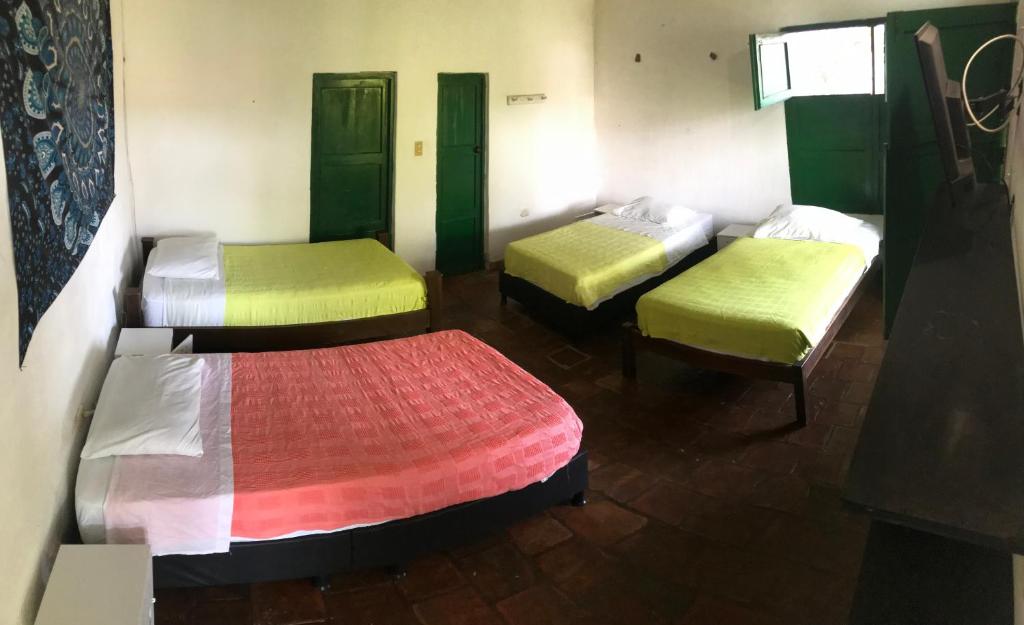 Nacuma Garden Hostel - Casa Nacuma photo 4