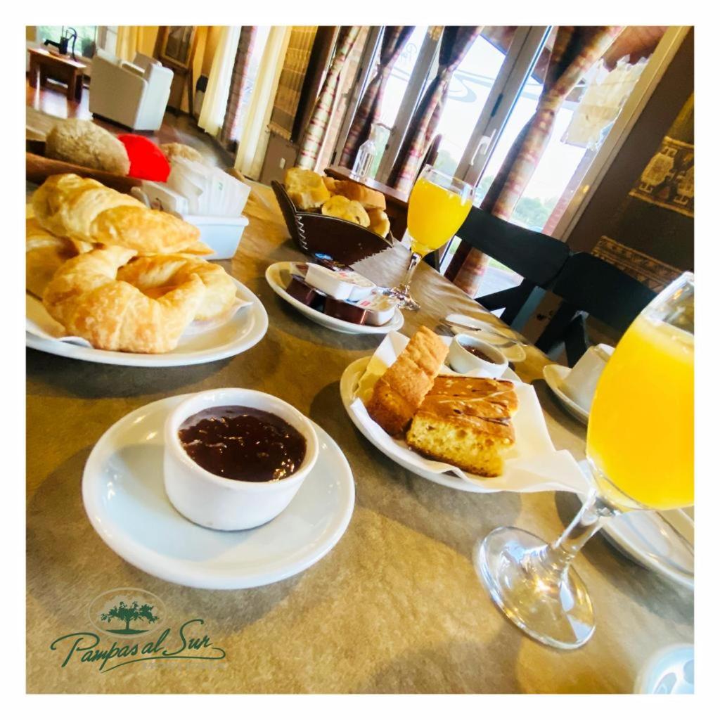 Pampas al Sur photo 3