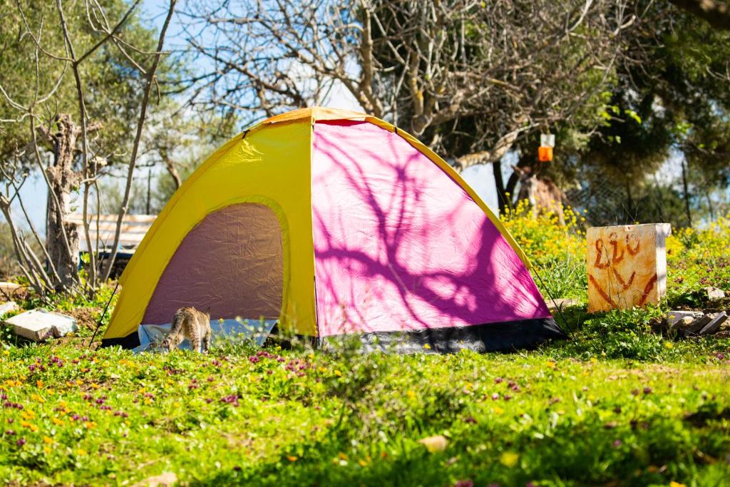 camping panorama photo 1