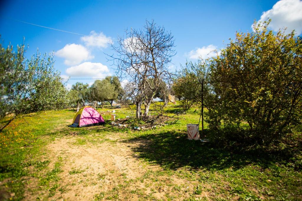 camping panorama photo 2