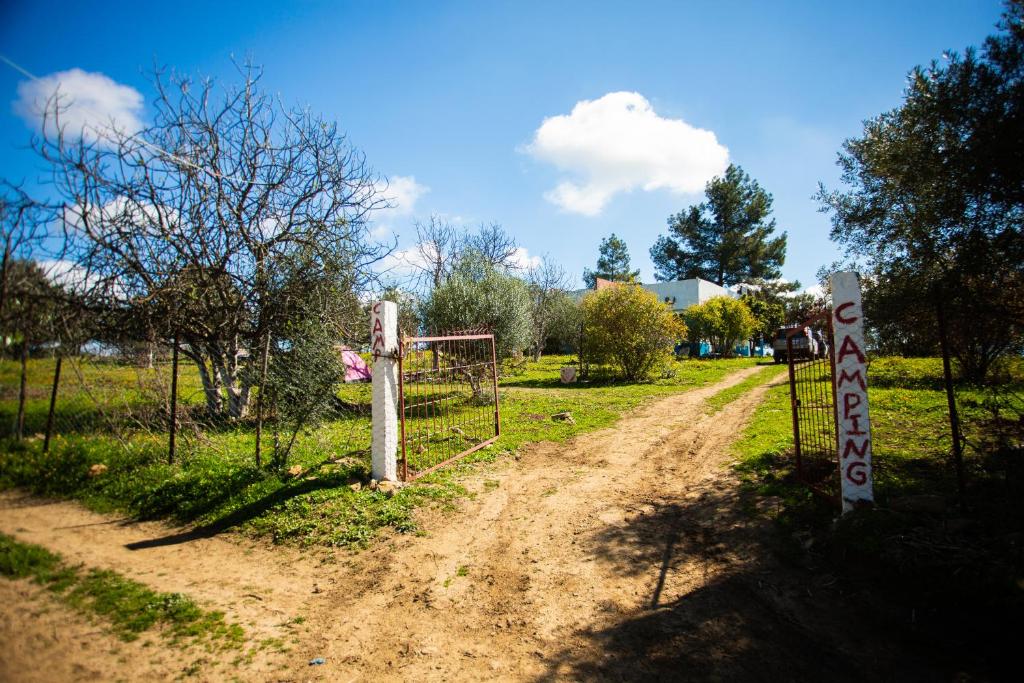 camping panorama photo 3