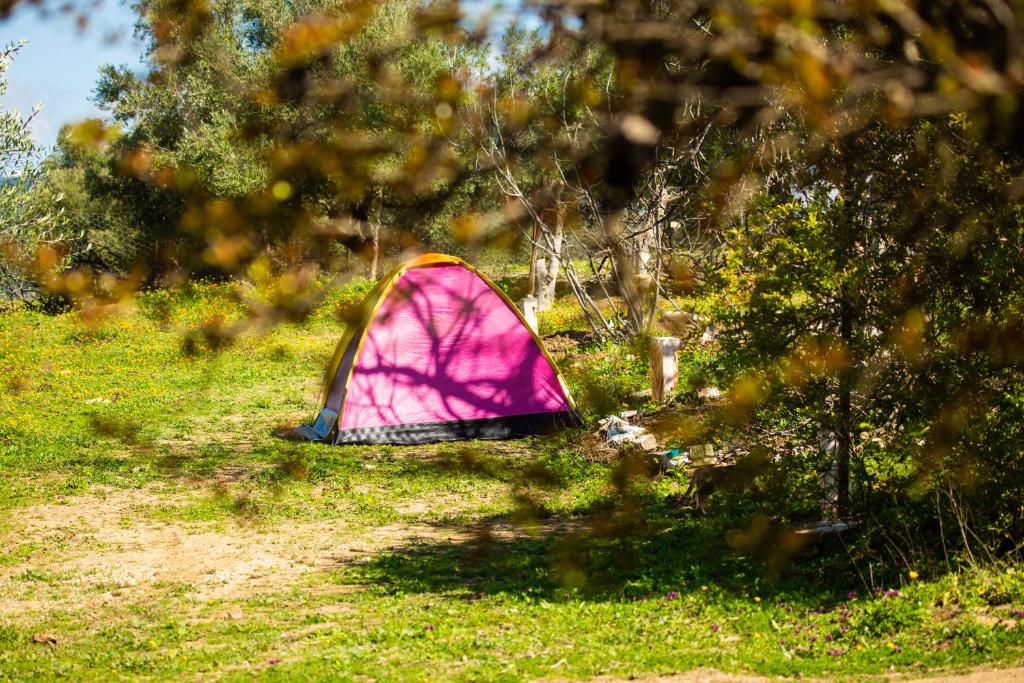 camping panorama