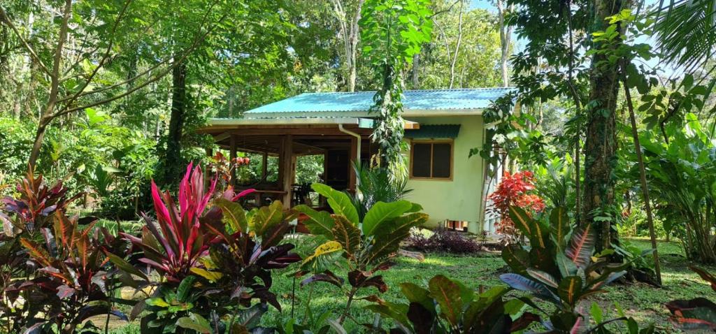 Casa Maloka