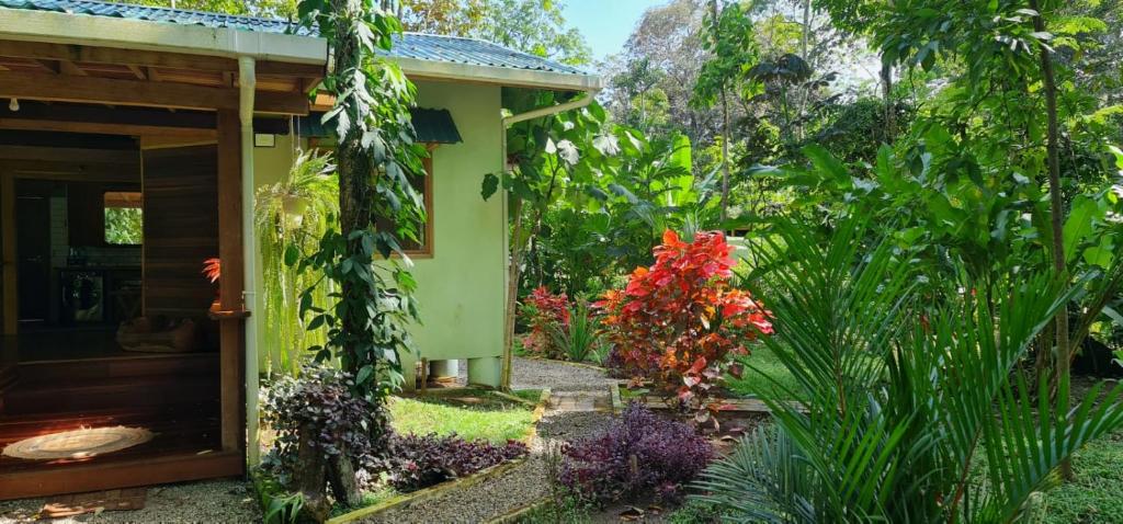 Casa Maloka photo 1