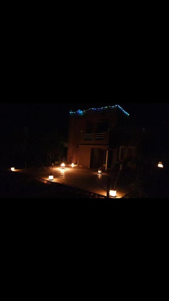 Walid photo 2