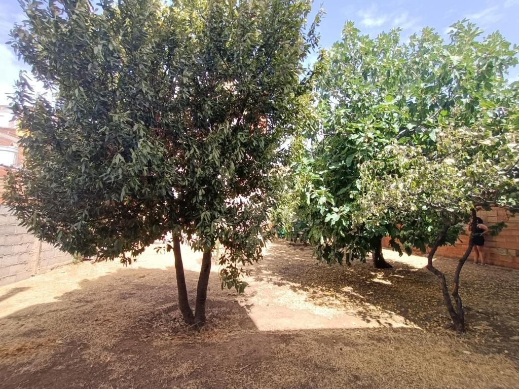 Vivienda rural Los Iberos M&M photo 2