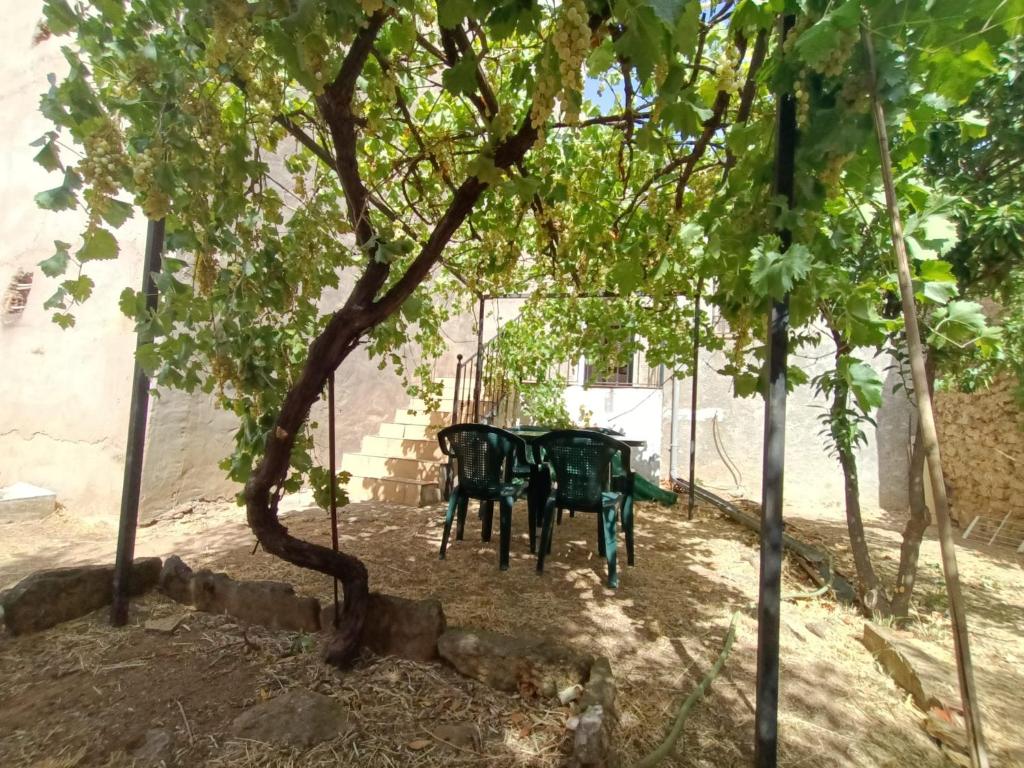 Vivienda rural Los Iberos M&M photo 1
