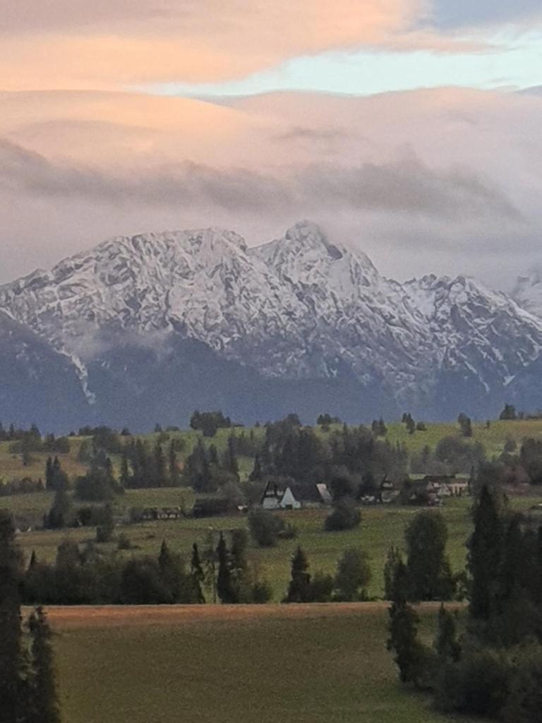 Domki z widokiem na Tatry photo 4