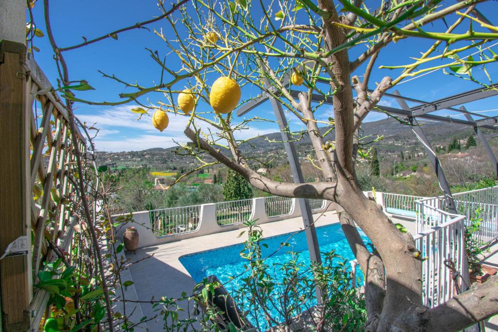 Maison Fesch, vue panoramique, 120m2, Piscine, 3ch photo 1