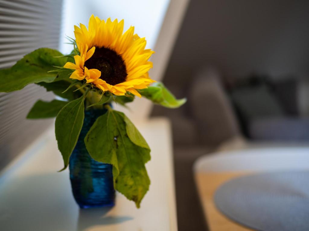Ferienwohnung Sarnade photo 4