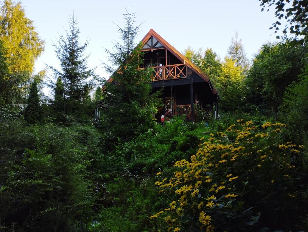 Garden House nad jeziorem Szelment photo 2