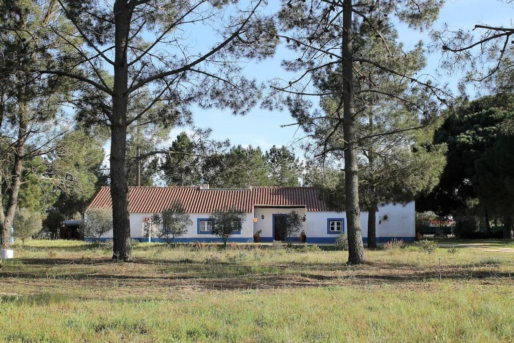 Casa do Pinheiro