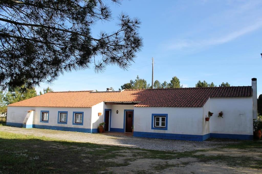 Casa do Pinheiro photo 1