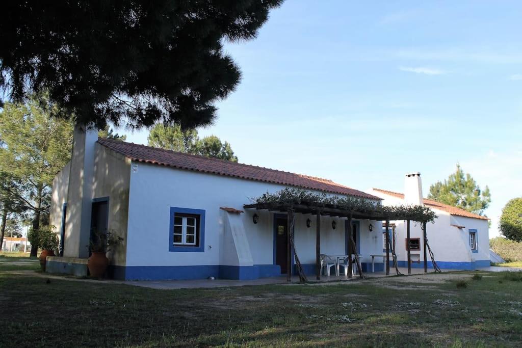 Casa do Pinheiro photo 4