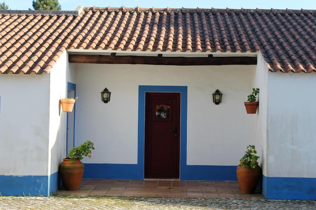 Casa do Pinheiro photo 2