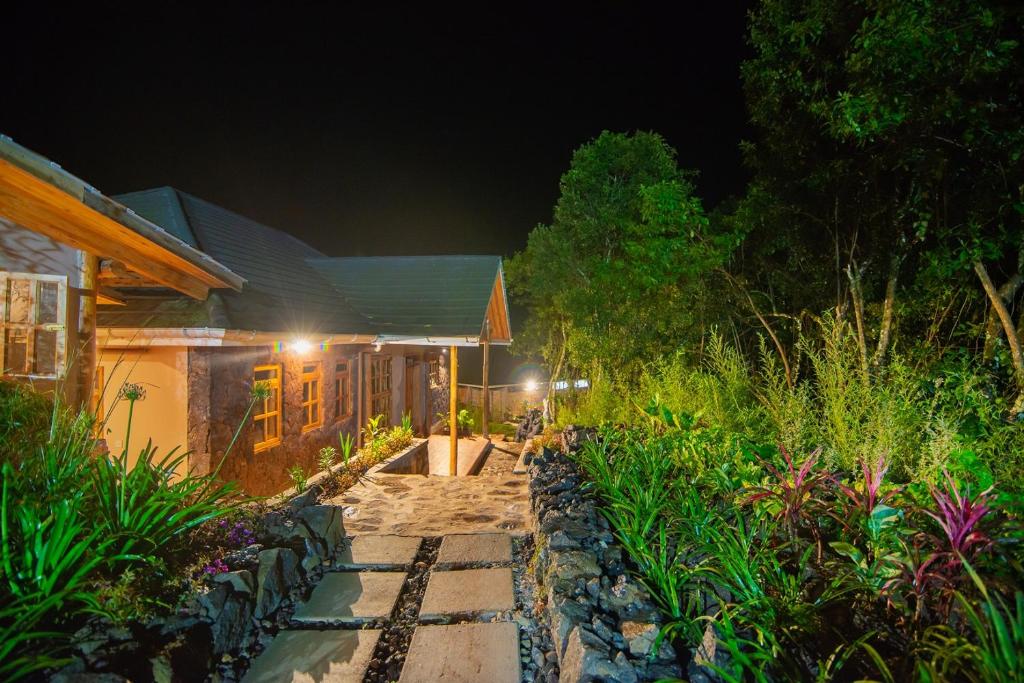 Gorilla Leisure Lodge photo 1